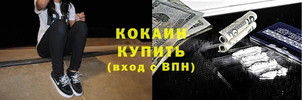 МДПВ Новозыбков