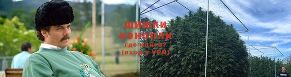 МДПВ Новозыбков