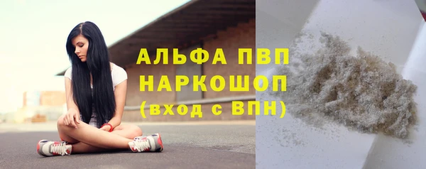 МДПВ Новозыбков