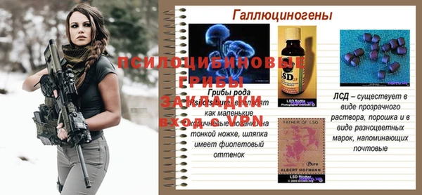 МДПВ Новозыбков